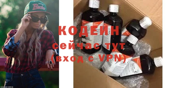 стаф Вязьма