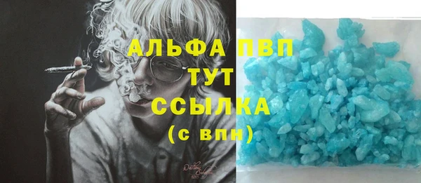 стаф Вязьма