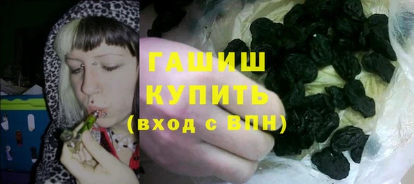 стаф Вязьма