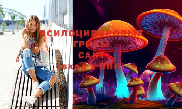 2c-b Вязники