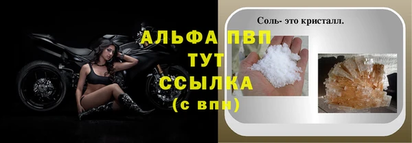 стаф Вязьма