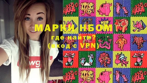 стаф Вязьма