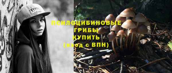 2c-b Вязники