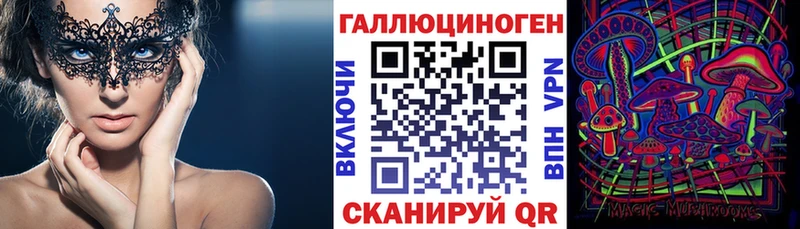 Галлюциногенные грибы Psilocybe  Керчь 